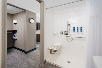 Room, 1 King Bed (Mobility Accessible, Roll-In Shower)
