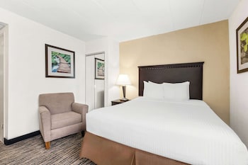 Standard Room, 1 Queen Bed, Non Smoking