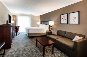 Premium Room, 1 King Bed with Sofa bed, Pool View