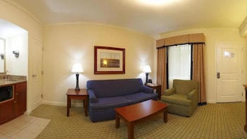 Suite, 1 Bedroom, Accessible (Communications, Accessible Tub)