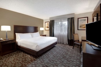Suite, 1 King Bed (Atrium Building, Conference)