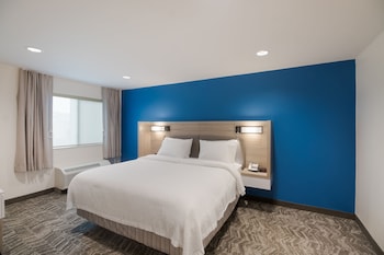 Suite, 1 King Bed with Sofa bed
