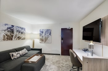 Suite, Multiple Beds
