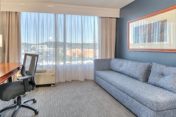 Deluxe King with Sleeper Sofa