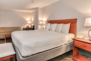 Choice Queen with Wet Bar & Sleeper Sofa