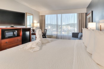 Deluxe King with Sleeper Sofa