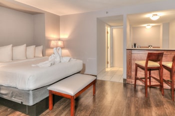 Superior King with Sleeper Sofa