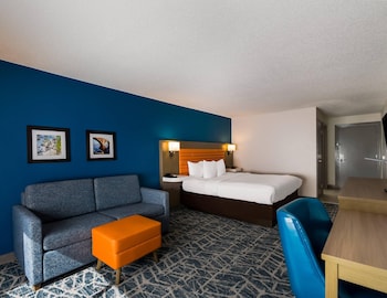 Standard Room, 1 King Bed with Sofa bed, Non Smoking