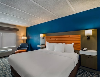 Standard Room, 1 King Bed with Sofa bed, Non Smoking