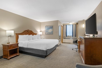 Standard Room, 1 King Bed, Refrigerator & Microwave, Poolside (1st Floor;with Sofabed)