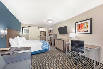 Standard Room, 1 King Bed, Accessible, Refrigerator & Microwave (with Sofabed)
