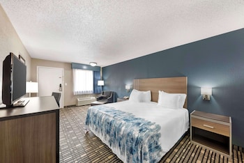 Standard Room, 1 King Bed, Non Smoking, Refrigerator & Microwave (Shower Only;Pet Friendly)
