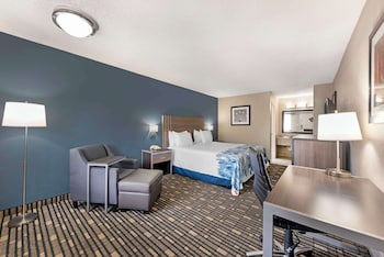 Standard Room, 1 King Bed, Non Smoking, Refrigerator & Microwave (Shower Only;Pet Friendly)