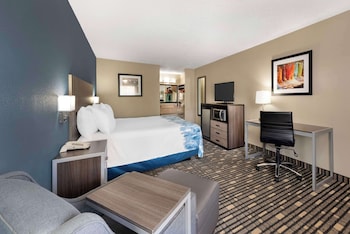 Standard Room, 1 King Bed, Non Smoking, Refrigerator & Microwave (Shower Only;Pet Friendly)