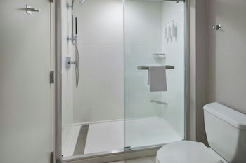 Suite, 1 King Bed