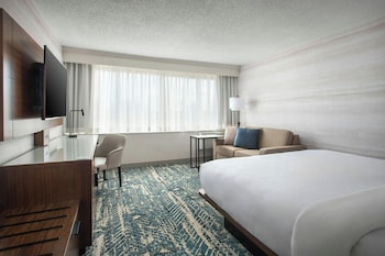 Room, 1 King Bed