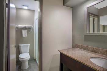 Deluxe Room, 1 King Bed, Smoking