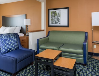 Studio Suite, 1 King Bed with Sofa bed, Non Smoking