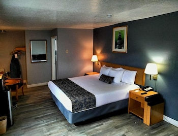 Room, 1 King Bed, Mobility Accessible