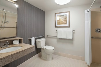 Room, 1 King Bed with Sofa bed (Mobility/Hearing Access, Transf Shwr)