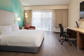 Executive Room, 1 King Bed with Sofa bed