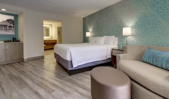 Room, 1 King Bed with Sofa bed (Mobility/Hearing Access, Roll-In Shwr)