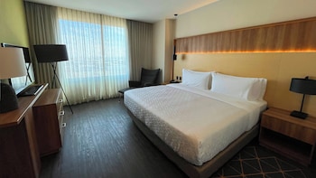 Standard Room, 1 King Bed, City View