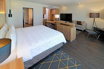 Premium Room, 1 King Bed, Accessible, City View