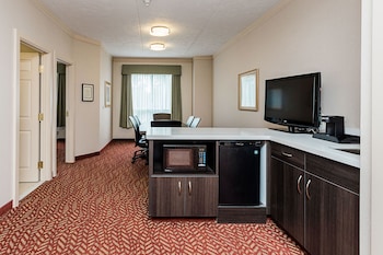 Suite, 1 King Bed, Non Smoking, Kitchenette (Living Room;with Sofabed)