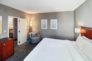 Suite, 1 King Bed with Sofa bed