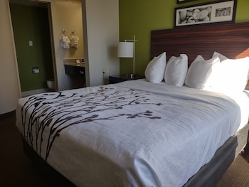 Standard Room, 1 Queen Bed, Non Smoking
