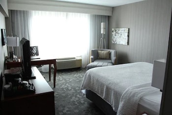 Room, 1 King Bed