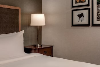 Suite, 1 Bedroom, Mountain View