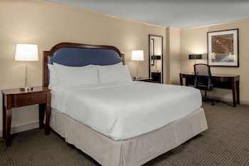 Room, 1 King Bed