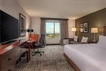 Deluxe Room, 1 King Bed with Sofa bed