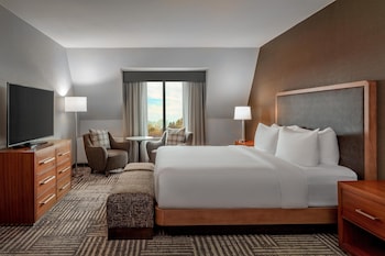 Suite, 1 Bedroom, Mountain View