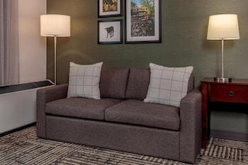 Deluxe Room, 1 King Bed with Sofa bed
