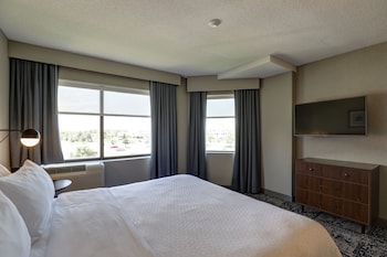 Suite, 1 King Bed with Sofa bed