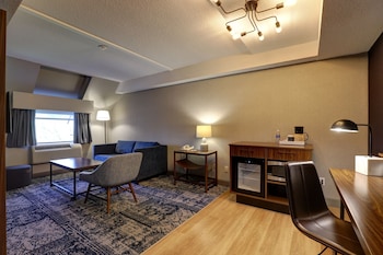 Room, 1 King Bed with Sofa bed