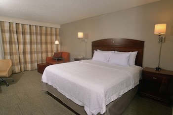 Room, 1 King Bed, Non Smoking