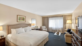 Luxury Room, 1 King Bed with Sofa bed