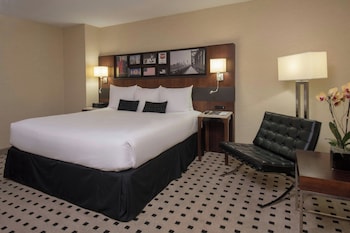 Room, 1 King Bed (Mobility/Hearing Accessible, Tub)