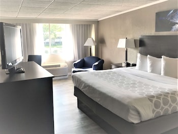 Standard Room, 1 King Bed, Refrigerator & Microwave, Pool View (with Sofabed)
