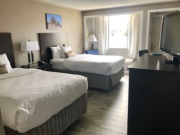 Standard Room, 2 Double Beds, Refrigerator & Microwave, Pool View
