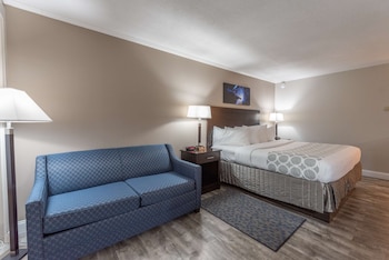 Standard Room, 1 King Bed, Non Smoking, Refrigerator & Microwave (with Sofabed)