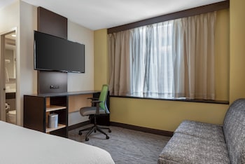 Suite, 1 King Bed with Sofa bed