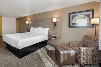 Business Room, 1 King Bed, Non Smoking, Refrigerator & Microwave