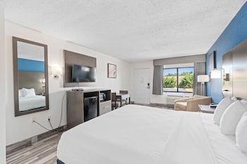 Room, 1 King Bed, Non Smoking