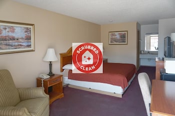 Room, 1 King Bed