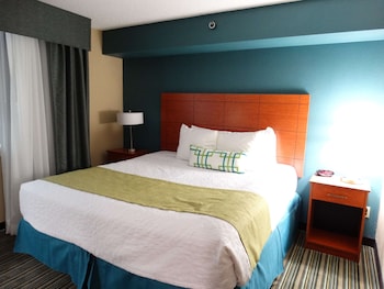 Suite, 1 Queen Bed, Accessible, Refrigerator & Microwave (with Sofabed)